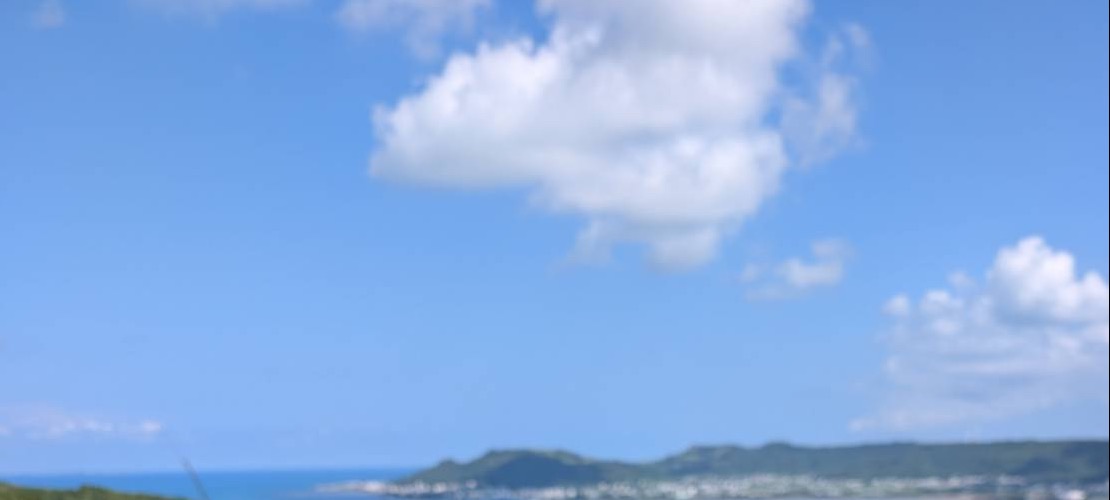 南城市の高台から見た海と町